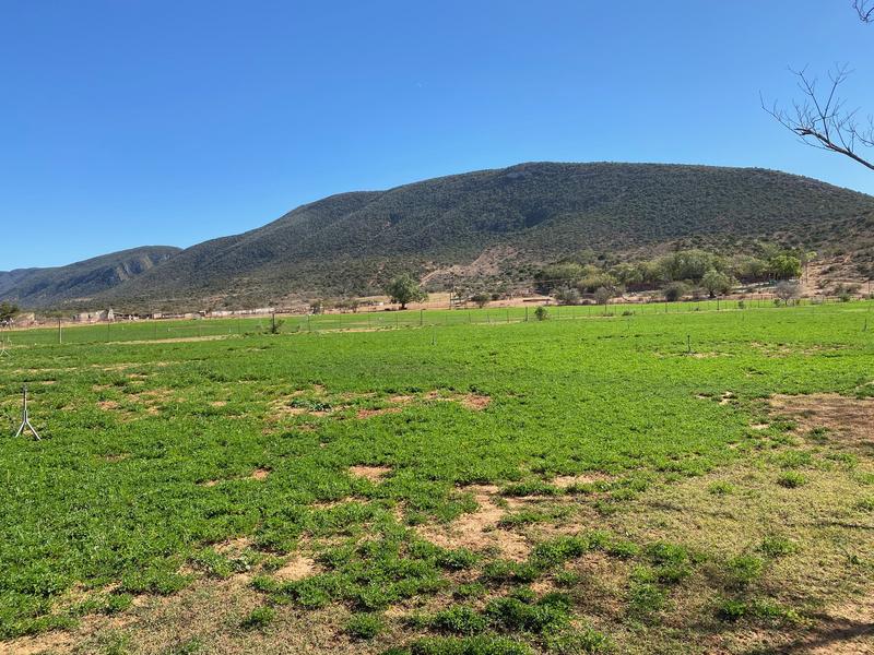 0 Bedroom Property for Sale in Kirkwood Eastern Cape